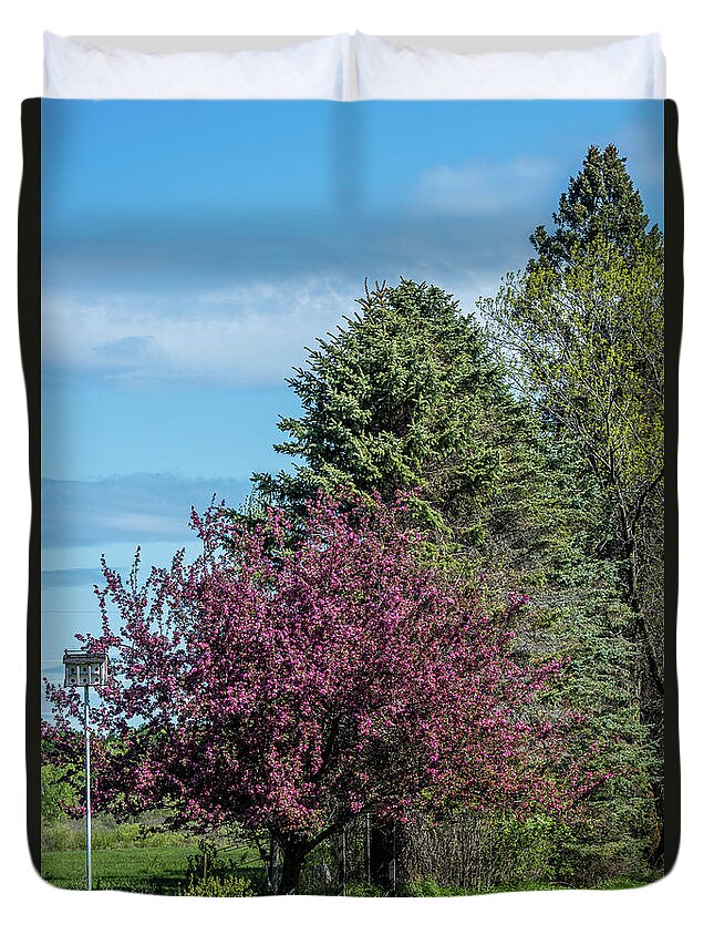 Spring Duvet Cover featuring the photograph Spring Blossoms by Paul Freidlund