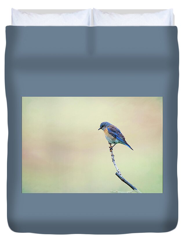 Spring Duvet Cover featuring the photograph Spring Bluebird by Steph Gabler