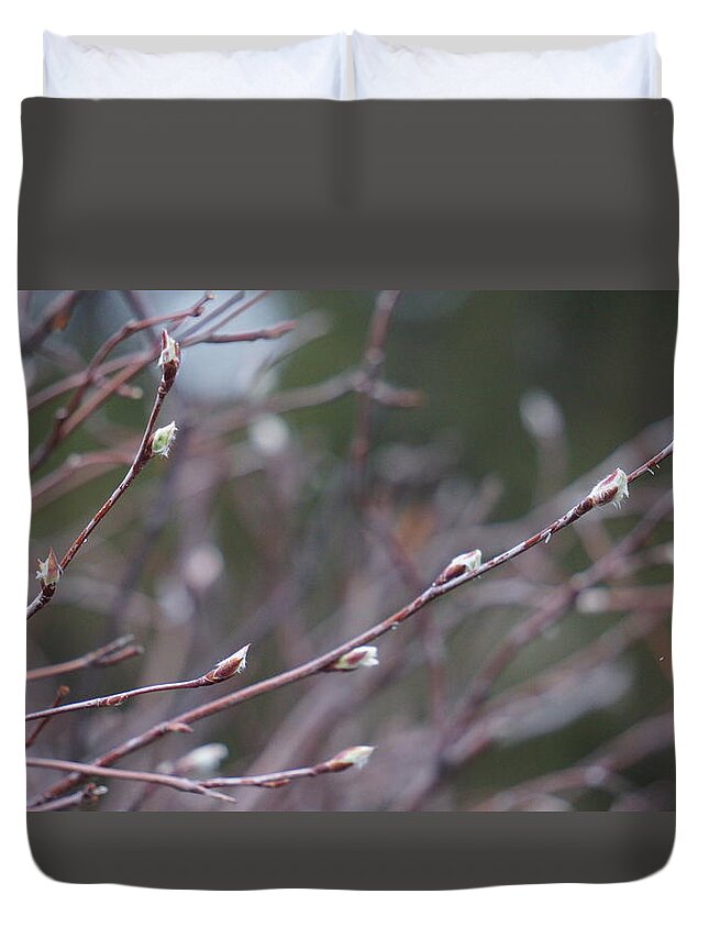 Spring Duvet Cover featuring the photograph Spring Buds by Brooke Bowdren