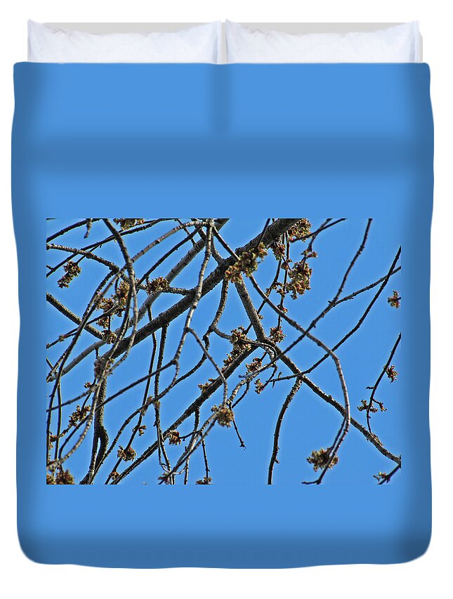 Spring Buds Duvet Cover featuring the photograph Spring Buds by Jessica Anne