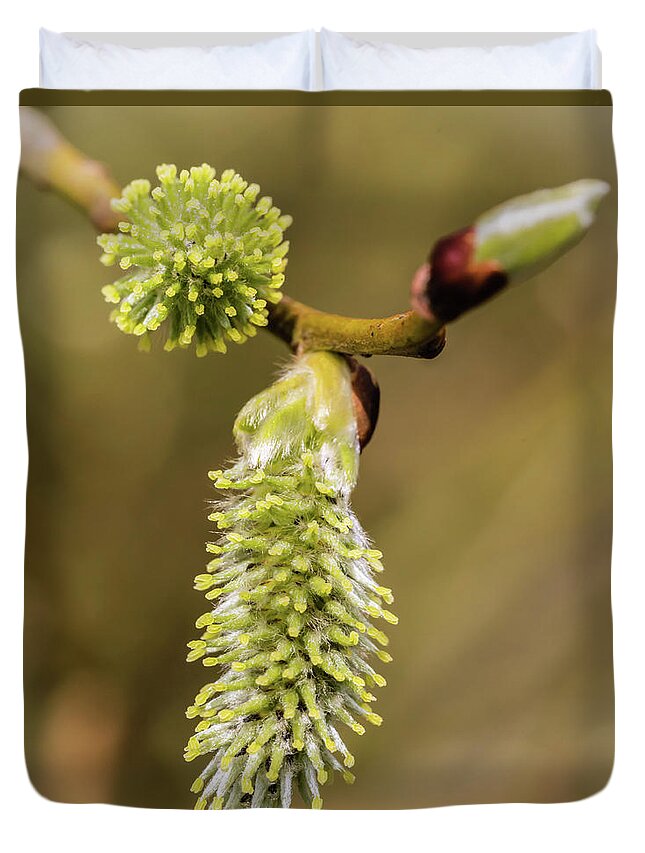Spring Duvet Cover featuring the photograph Spring Catkins by Nick Bywater