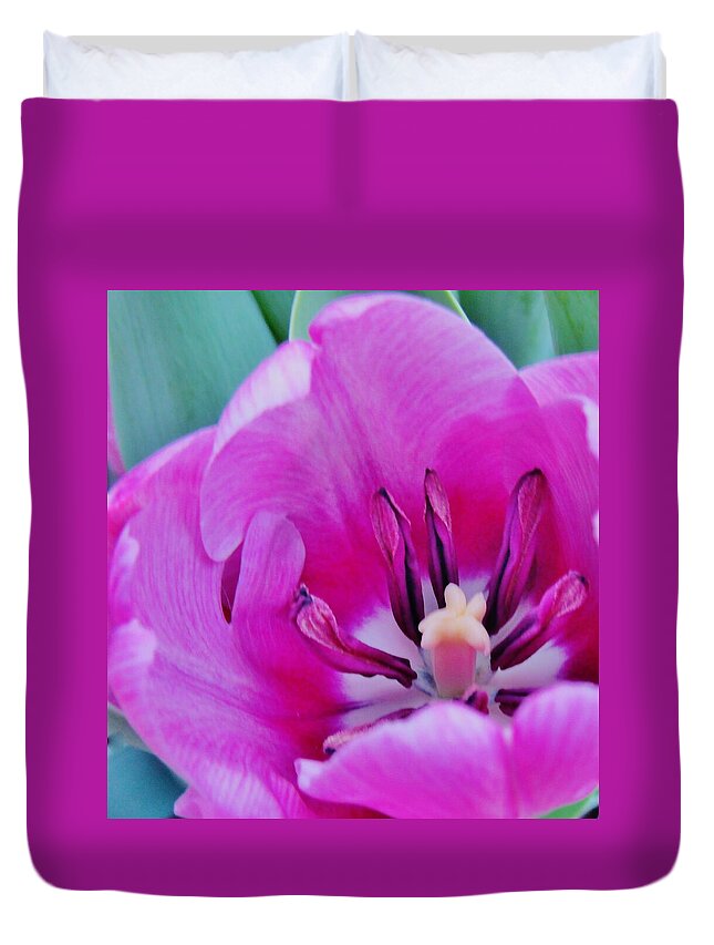 Violet Tulip Duvet Cover featuring the photograph Spring Celebration by Sharon Ackley