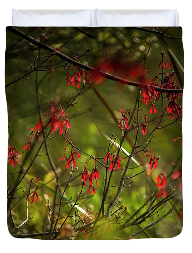 Booker Creek Duvet Cover featuring the photograph Spring Color by Marvin Spates