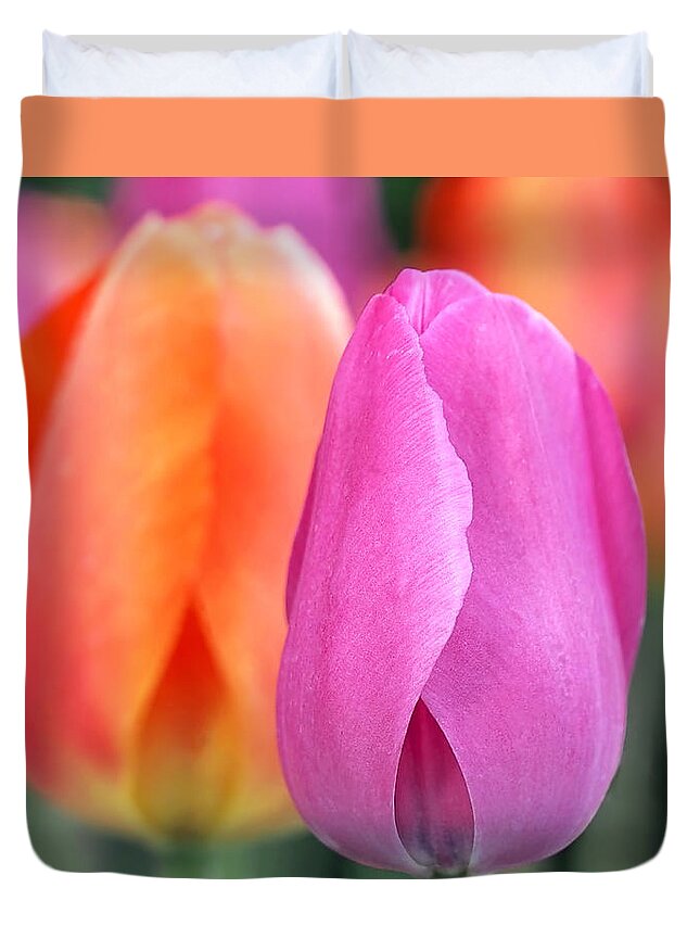 Tulips Duvet Cover featuring the photograph Spring Colors by Rona Black