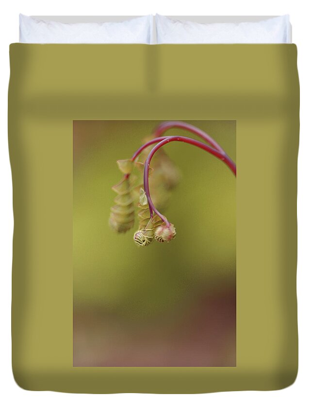 Spring Duvet Cover featuring the photograph Spring Coming 2017 by Jeff Burgess
