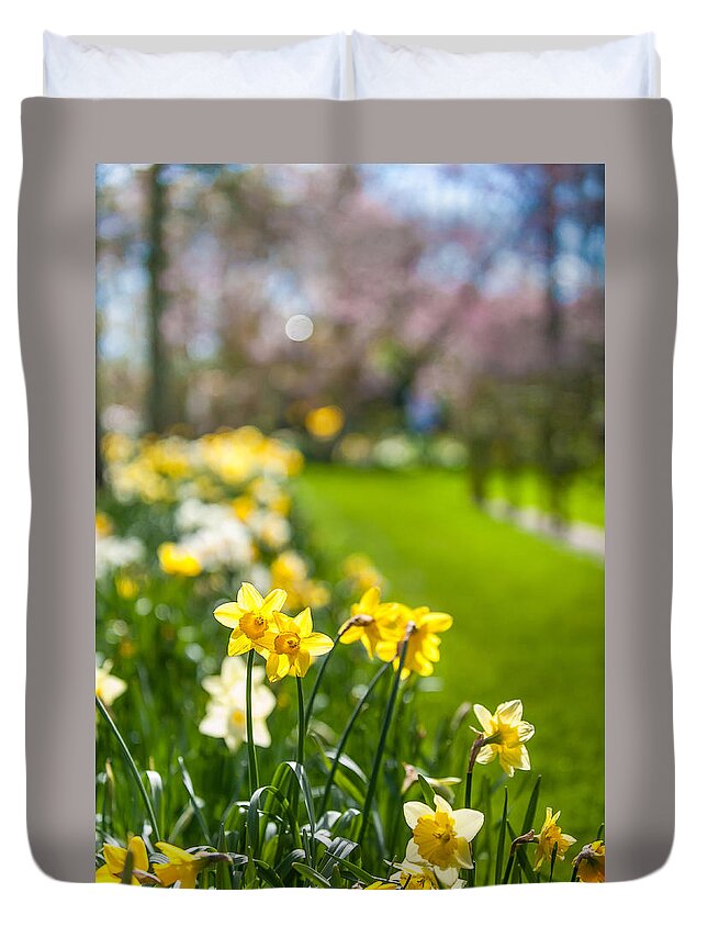 Jenny Rainbow Fine Art Photography Duvet Cover featuring the photograph Spring Daffodils in Keukenhof Garden by Jenny Rainbow