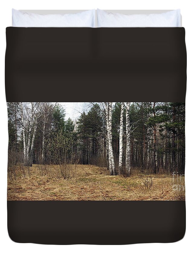 Attractive Duvet Cover featuring the photograph Spring Forest by Vadzim Kandratsenkau