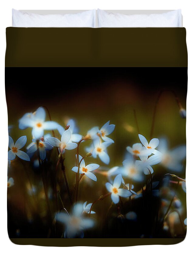 Flowers Duvet Cover featuring the photograph Spring Gathering by Mike Eingle