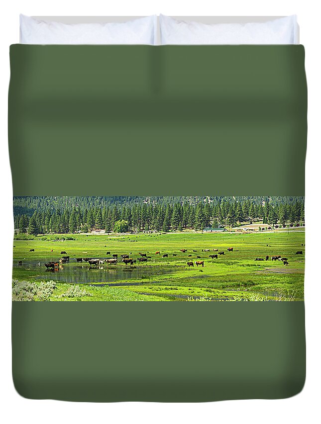 Grazing Cattle Duvet Cover featuring the photograph Spring Grazing by L J Oakes