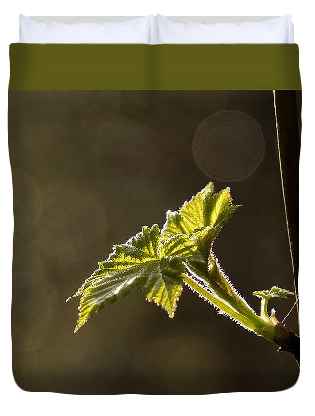 Spring Duvet Cover featuring the photograph Spring has Sprung - 365-27 by Inge Riis McDonald
