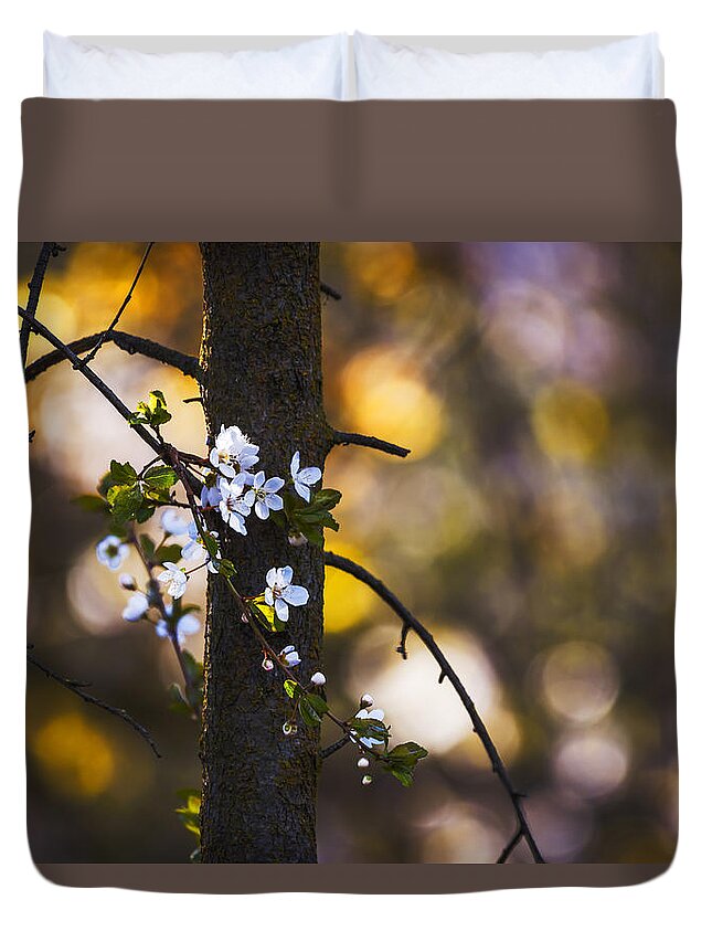 Spring Duvet Cover featuring the photograph Spring in the forest by Vishwanath Bhat