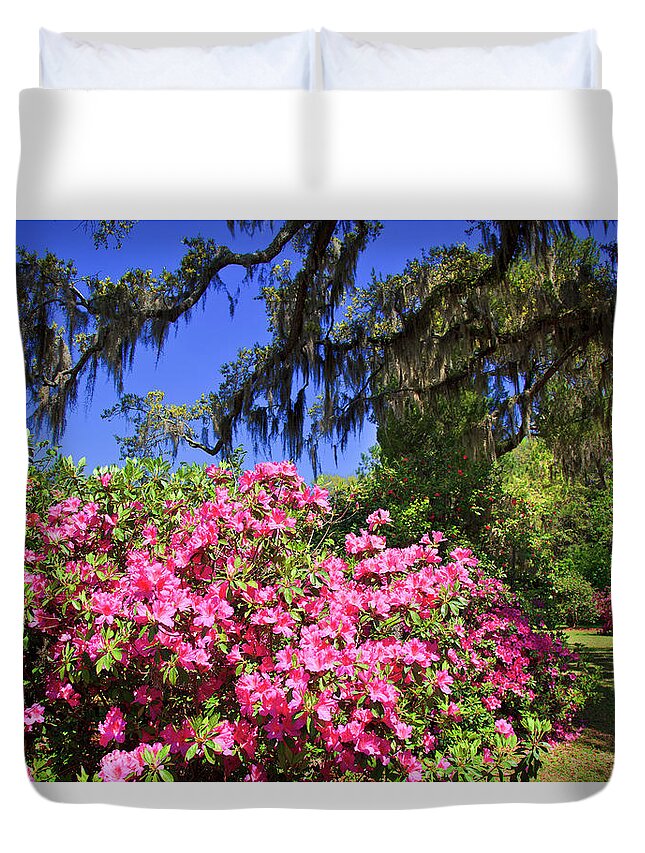 Pink Duvet Cover featuring the photograph Spring in the South by Jill Lang