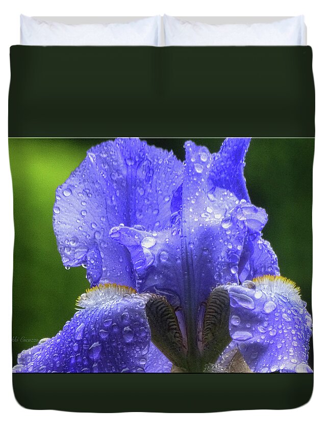Floral Duvet Cover featuring the photograph Spring Iris by Mikki Cucuzzo