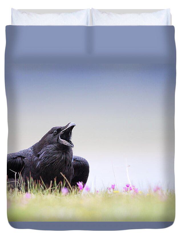 Common Raven Duvet Cover featuring the photograph Spring Raven by Max Waugh