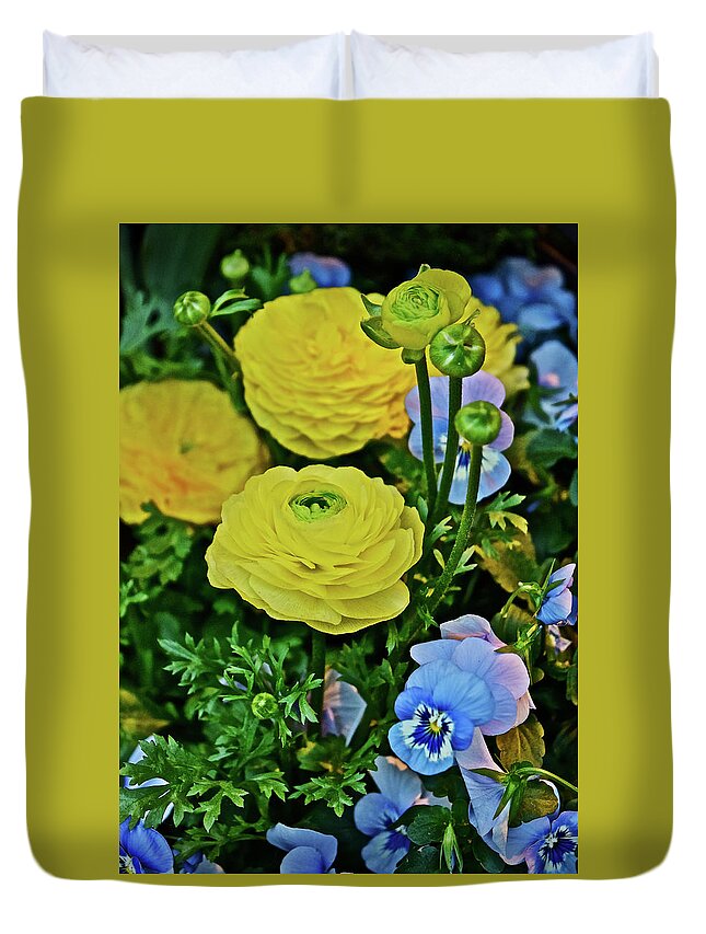Ranunculus Duvet Cover featuring the photograph Spring Show 18 Persian Buttercup with Horned Viola by Janis Senungetuk