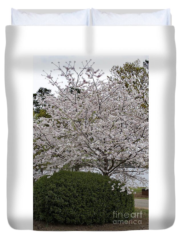 Nature Duvet Cover featuring the photograph Spring by Skip Willits