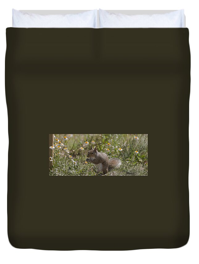 Spring Squirrel Duvet Cover featuring the photograph Spring Squirrel by Diane Giurco