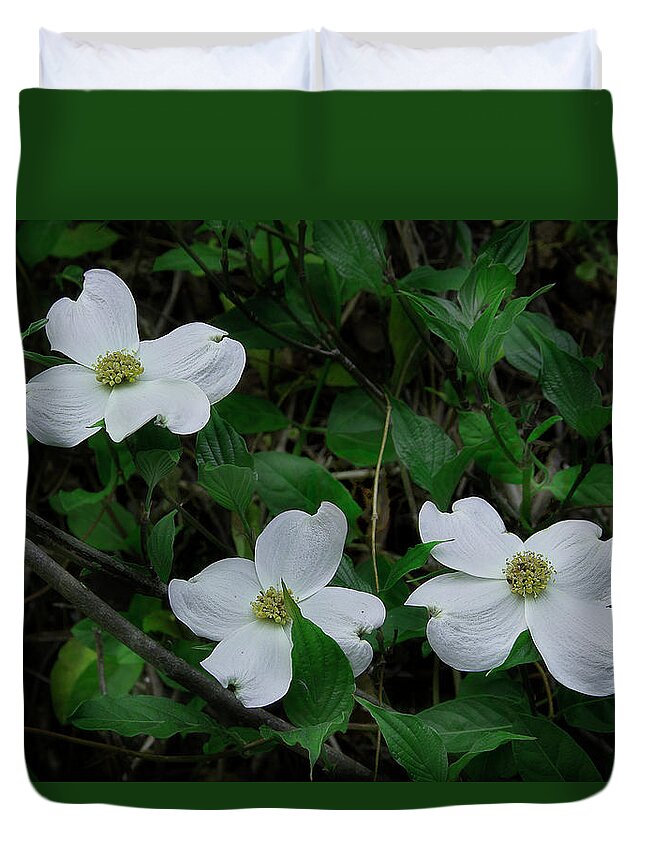 Dogwood Duvet Cover featuring the photograph Spring Time Dogwood by Mike Eingle