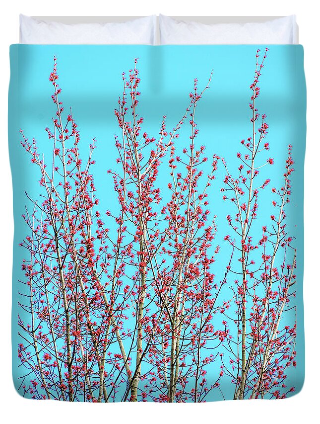 Spring Trees Duvet Cover featuring the photograph Spring Trees by Christina Rollo