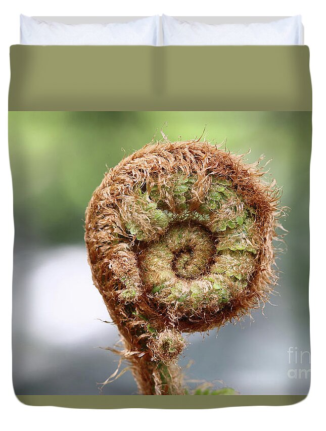 Sprout Duvet Cover featuring the photograph Sprout of ferns by Michal Boubin