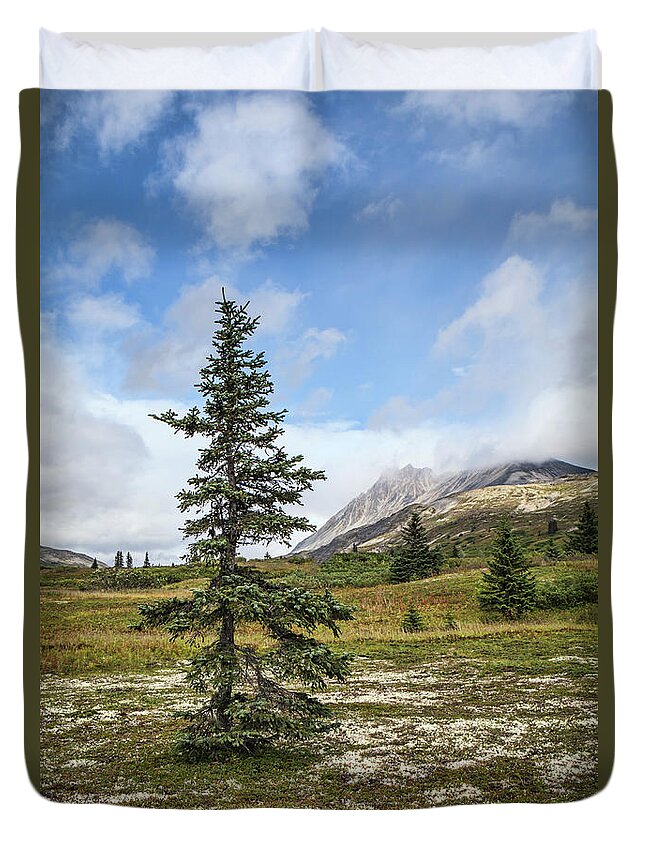 B.c. Duvet Cover featuring the photograph Spruce tree in summer by Michele Cornelius