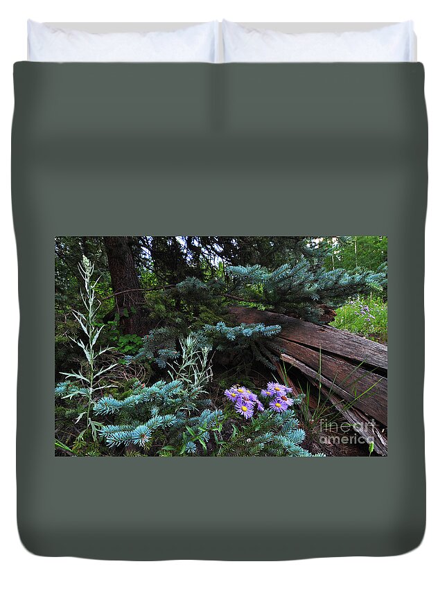 Blue Spruce Duvet Cover featuring the photograph Spruced Up Asters by Randy Rogers