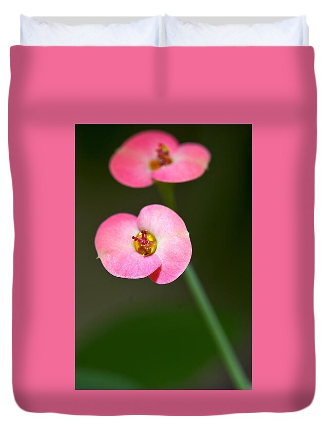 Euphorbia Duvet Cover featuring the photograph Spurge flower by Antonio Ballesteros