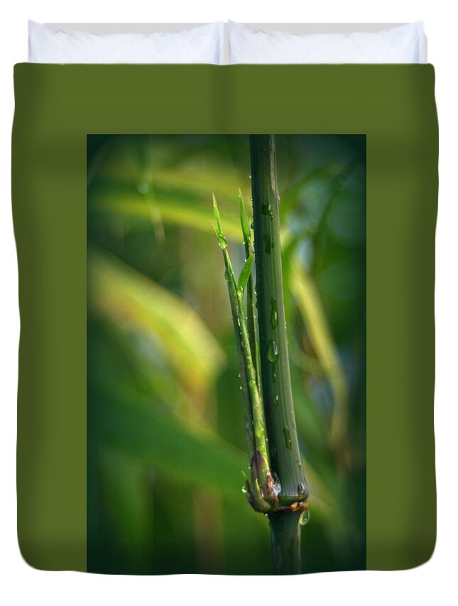 Bamboo Duvet Cover featuring the photograph Square Stem Bamboo by Nathan Abbott