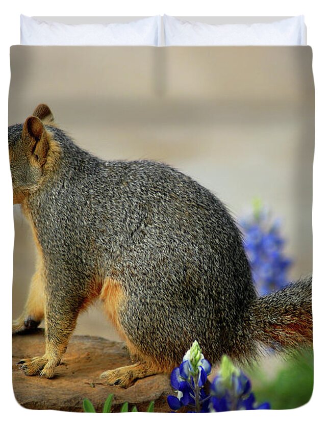 Squirrel Duvet Cover featuring the photograph Squirrel in Texas Bluebonnets by Ted Keller