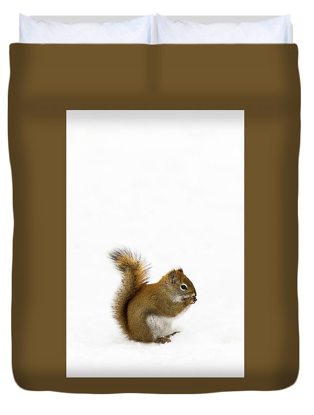 Squirrel Duvet Cover featuring the photograph Squirrel by Nebojsa Novakovic