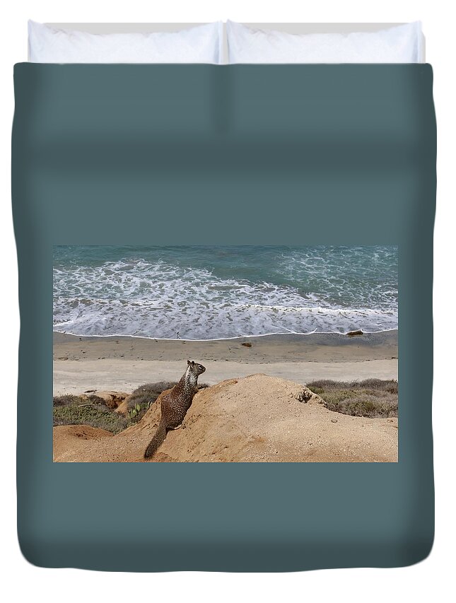 California Duvet Cover featuring the photograph Squirrel Soaking in the Ocean View  by Christy Pooschke