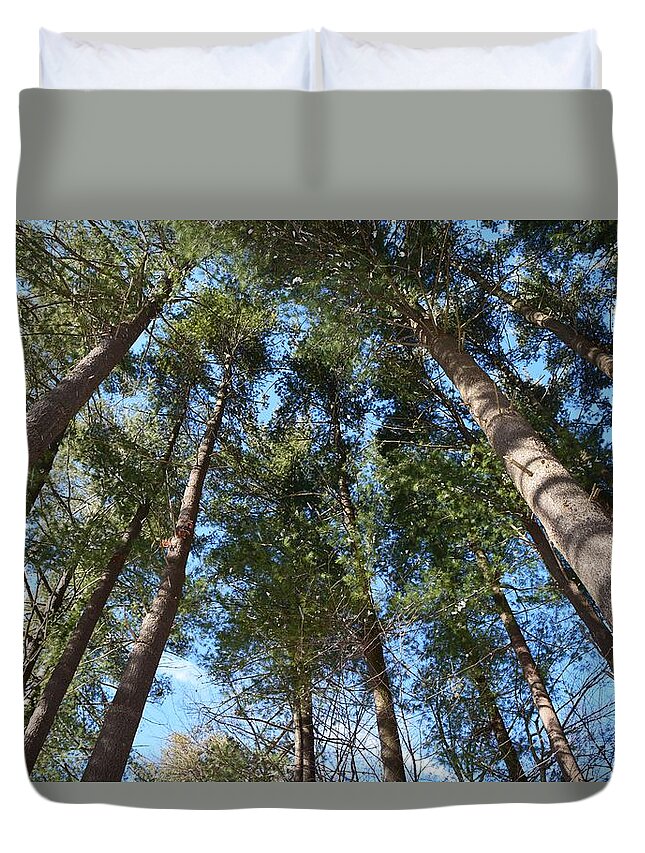 Trees Duvet Cover featuring the photograph Squirrels Highway by Dani McEvoy