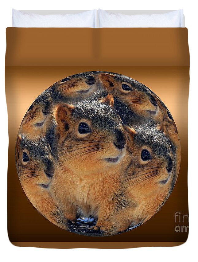 Squirrel Winter Duvet Cover featuring the photograph Squirrels in a Ball No. 2 by Rick Rauzi