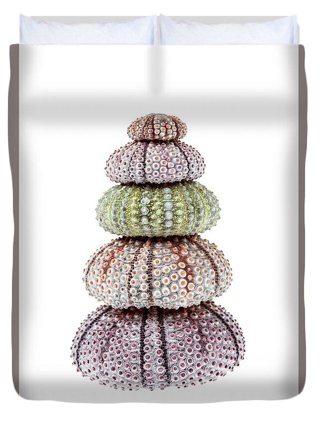 Sea Urchin Duvet Cover featuring the photograph Stack of sea urchins by Elena Elisseeva