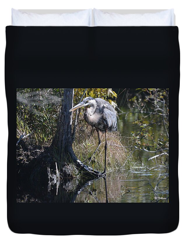 Great Blue Heron Duvet Cover featuring the photograph Stalking... by Dan Williams