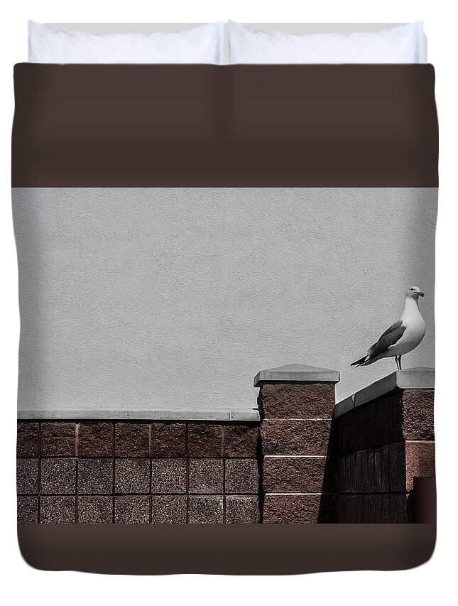 Seagulls Duvet Cover featuring the photograph Standing Alone by Steven Milner