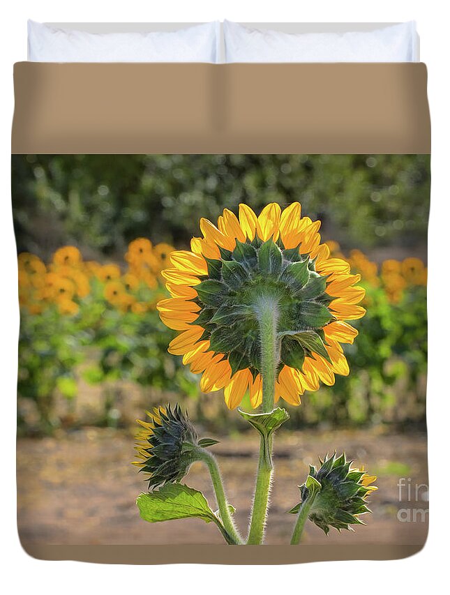 Sunflower Duvet Cover featuring the photograph Standing At Attention by Mimi Ditchie