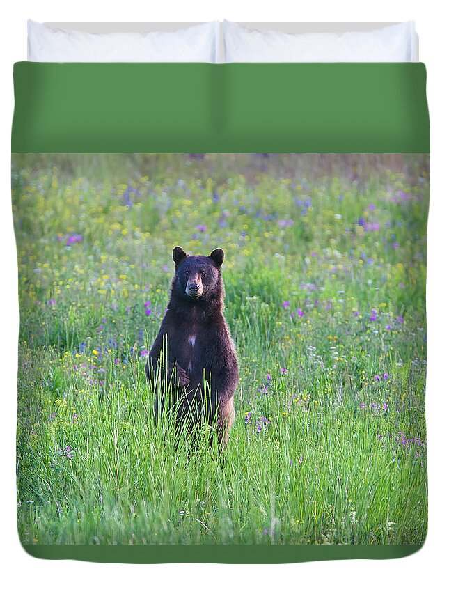 Bear Duvet Cover featuring the photograph Standing Black Bear by Mark Miller
