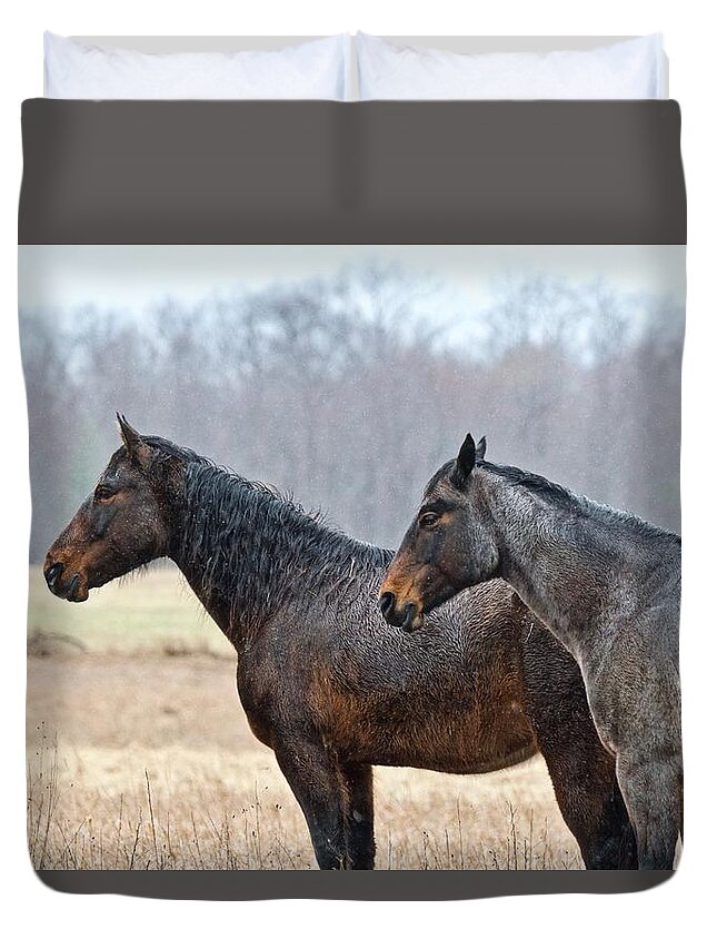 Horse Duvet Cover featuring the photograph Standing in the Rain 1281 by Michael Peychich