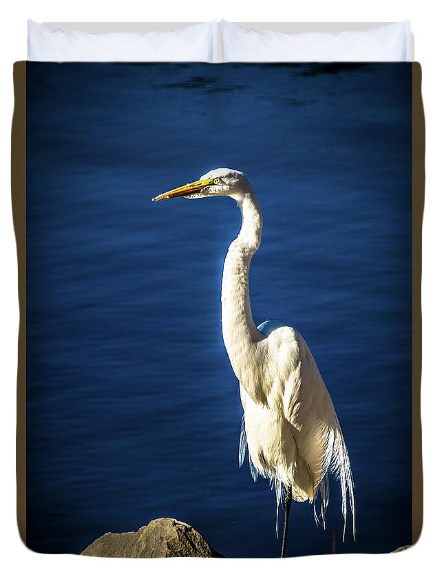 Egret Duvet Cover featuring the photograph Standing Proud by Steph Gabler