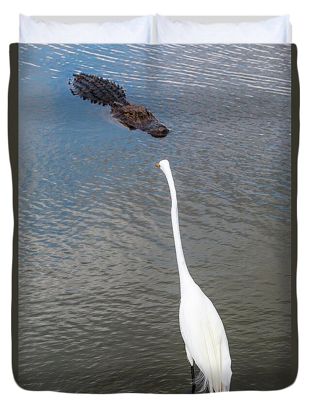 Alligator Duvet Cover featuring the photograph Staredown at Hunting Beach State Park - March 31, 2017 by D K Wall
