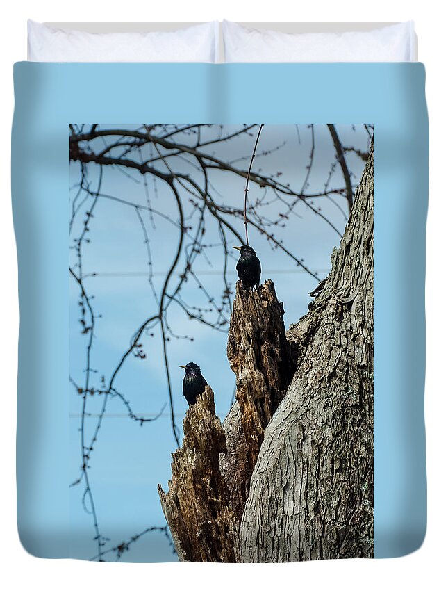 Jan Holden Duvet Cover featuring the photograph Starlings Times Two by Holden The Moment