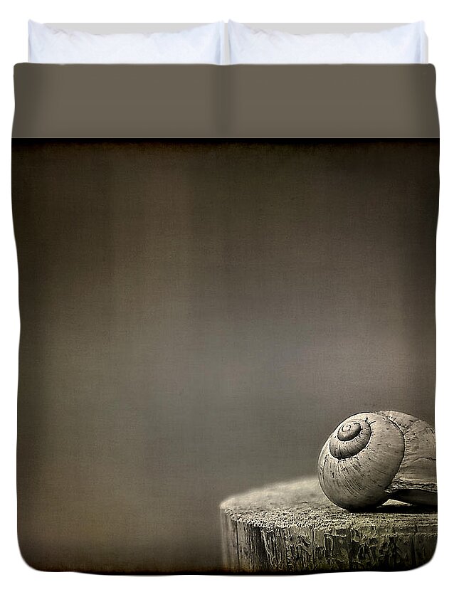 Snail Duvet Cover featuring the photograph Stay by Evelina Kremsdorf