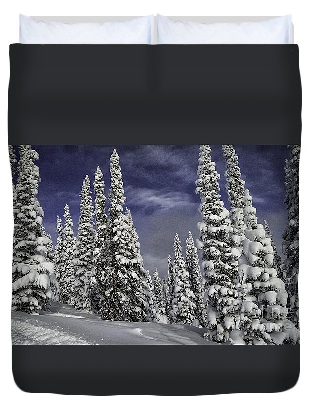 Winter Duvet Cover featuring the photograph Steamboat Springs Trees 1 by Timothy Hacker