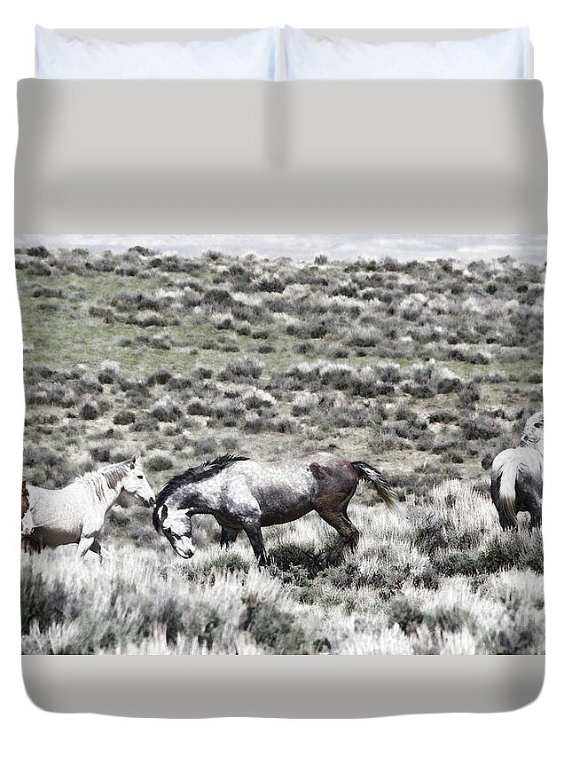 Wild Stallions Duvet Cover featuring the photograph Steel Dust by Jim Garrison
