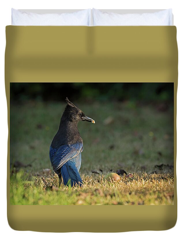 Wildlife Duvet Cover featuring the photograph Stellar's Jay 2 by Inge Riis McDonald