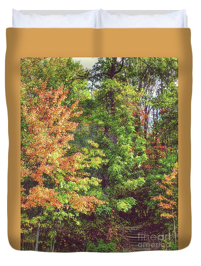 Trees Duvet Cover featuring the photograph Steps Into the Unknown by Carol A Commins