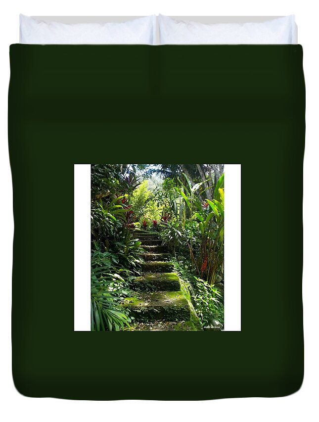 Mountains Duvet Cover featuring the photograph Steps Without Feet

from by David Cardona