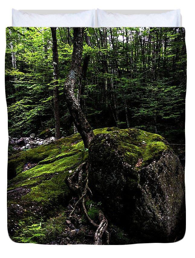 River Duvet Cover featuring the photograph Stevensville Brook in Underhill, Vermont - 4 by James Aiken