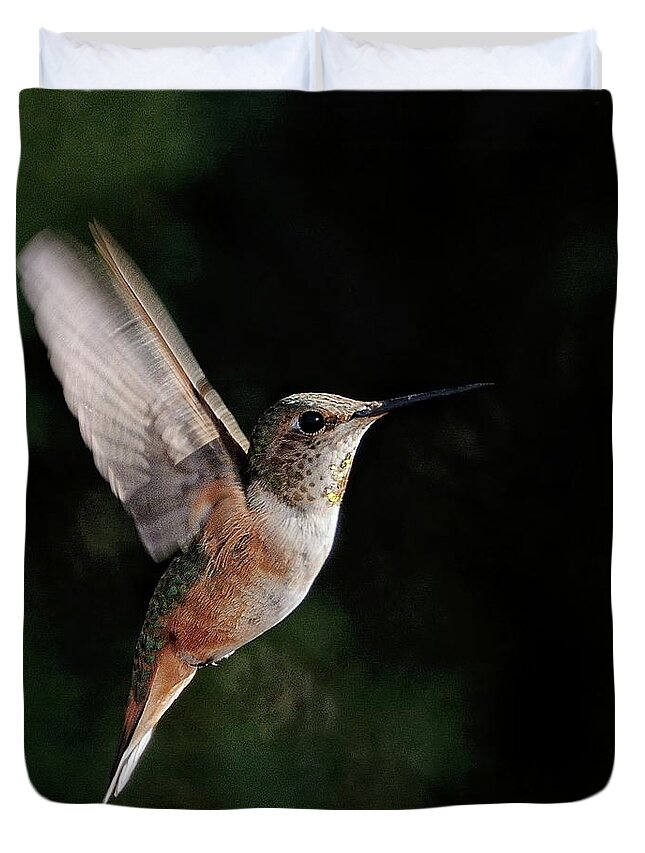 Rufous Hummingbird Duvet Cover featuring the photograph Stopped To Say Hello by Debra Sabeck